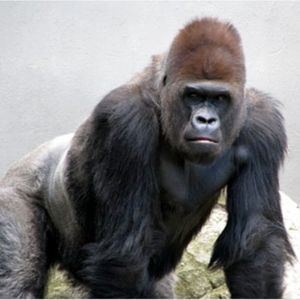 Meet your Posher, Larry